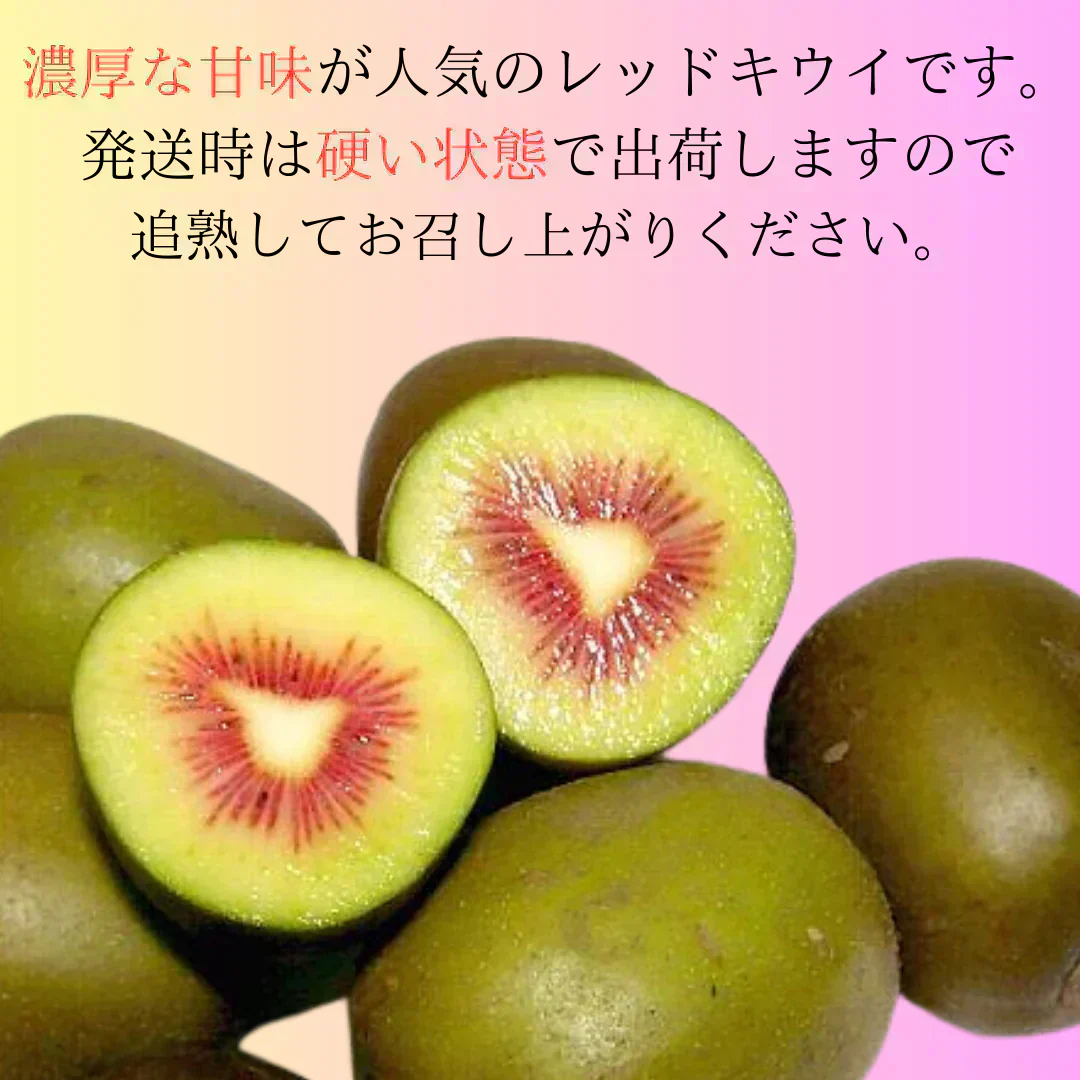 【予約販売10月中旬】甘さピカイチ! 愛媛県産 レッドキウイ レインボーレッドと同品種 1Kg(風袋込み)