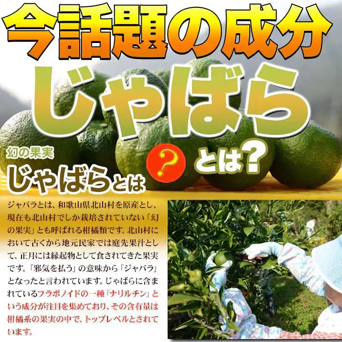 【メガ盛り 大容量4ヵ月分・じゃばらサプリメント】TVCMで話題の成分ナリルチンを多く含んだ幻の果実じゃばらのサプリメント 6種類の天然ハーブ配合 ジャバラエキス マヌカハニー アイブライト エルダーフラワー ネトル スリッパリーエルム マシュマロウ ワイルドチェリー おすすめ 人気 ランキング 効果 強力 最強 通販 日本製 国産 健康サプリ 健康食品 植物性エキス 柑橘系サプリメント 天然ハーブ ジャバラ