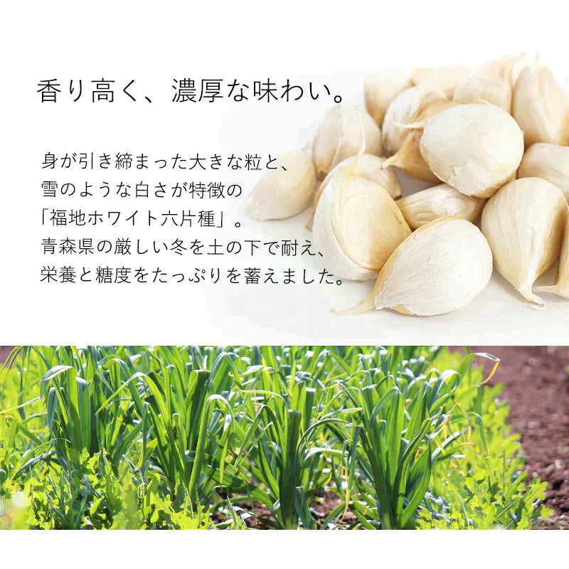 【 送料無料 】 青森県産 訳あり にんにく バラカケ 約500g 人気の福地ホワイト六片種 家庭用 青森産 ニンニク 福地ホワイト サイズ混合 メール便