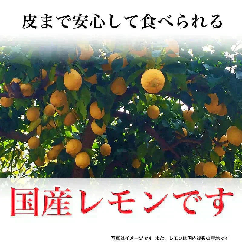 国産 輪切り レモン 160g×1袋 ドライフルーツ 砂糖あり
