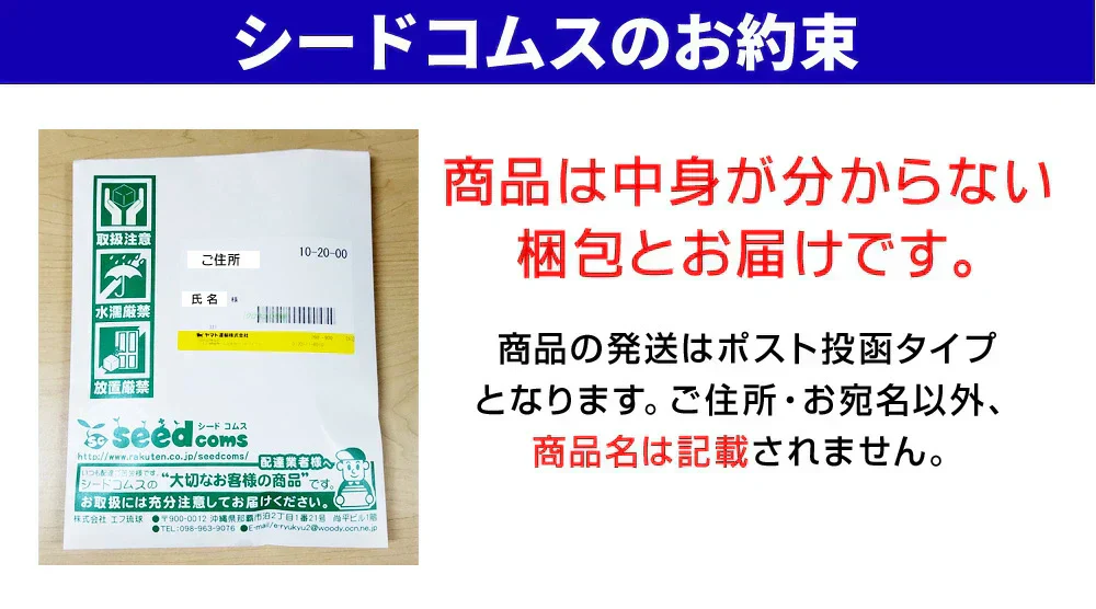 なし