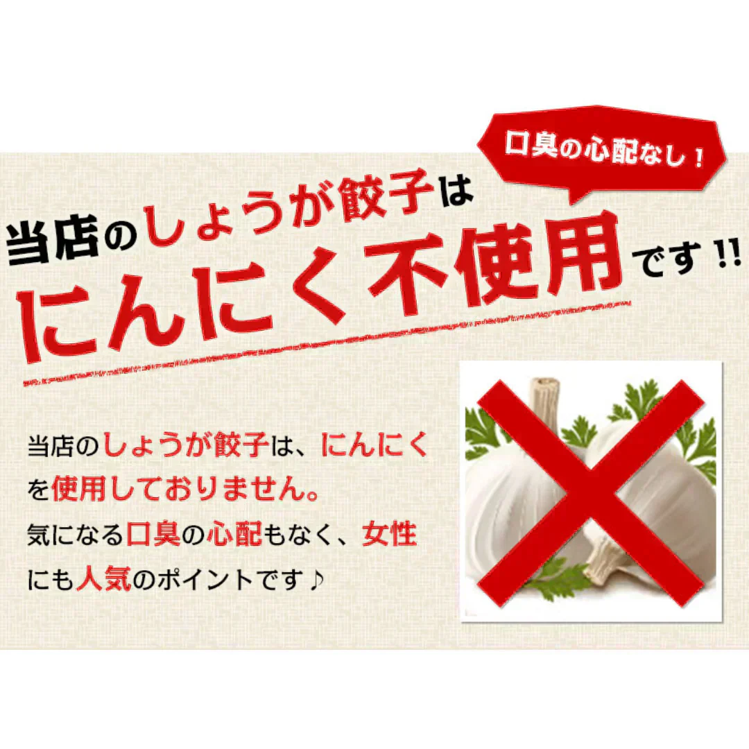 メガ盛り!本餃子&しょうが餃子96個(本餃子48個、しょうが餃子48個)