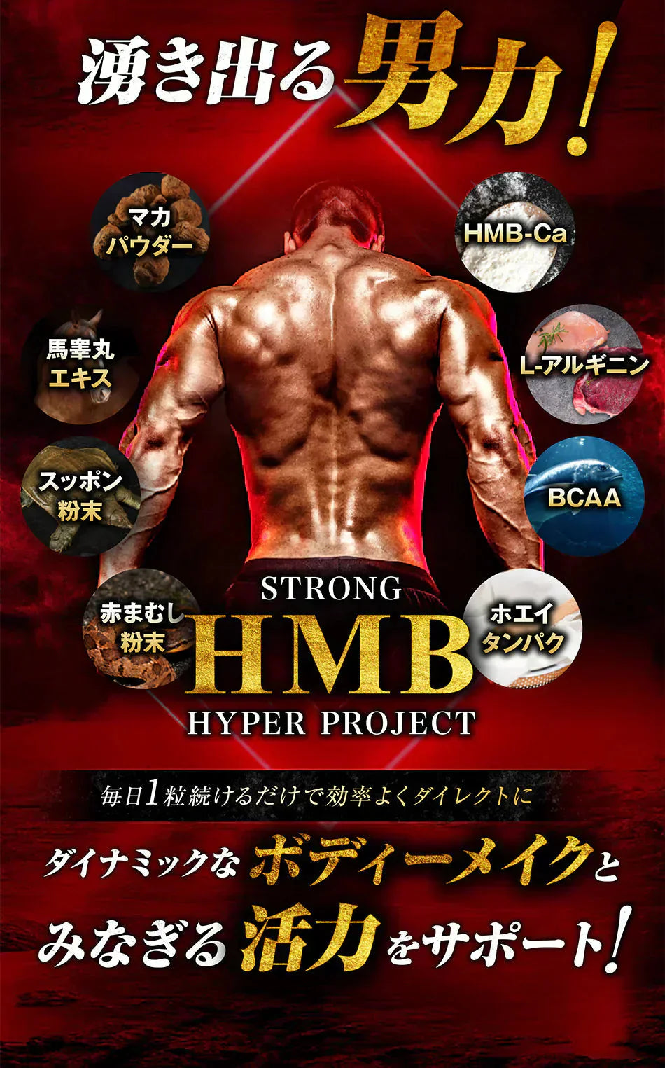 【ストロング HMB・お得3ヶ月分】太く 強く 気力 活力 男性 BCAA クレアチン カルニチン 亜鉛 アルギニン 人気ランキング サプリメント 国産 ダイエット 女性が求める最強のボディー 男力 バルクアップ 理想の体 ダイエットボディーメイク マカ HMB おすすめ 人気 ランキング 効果 強力 最強 スッポン マムシ BCAA 馬睾丸 日本