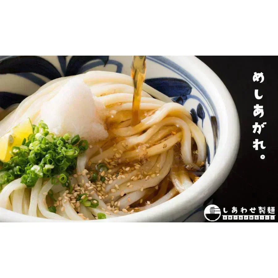 讃岐うどん 乾麺 うどん県のうどん 約9人前(300gx3袋)長期保存 しあわせ製麺