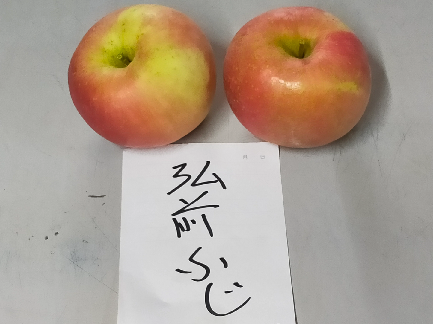 青森県産りんご 早生ふじ ひろさきふじ 糖度が高くて酸味は少なく 訳あり 1箱約3㎏(約9個~変動あり)佐川急便発送【6103】