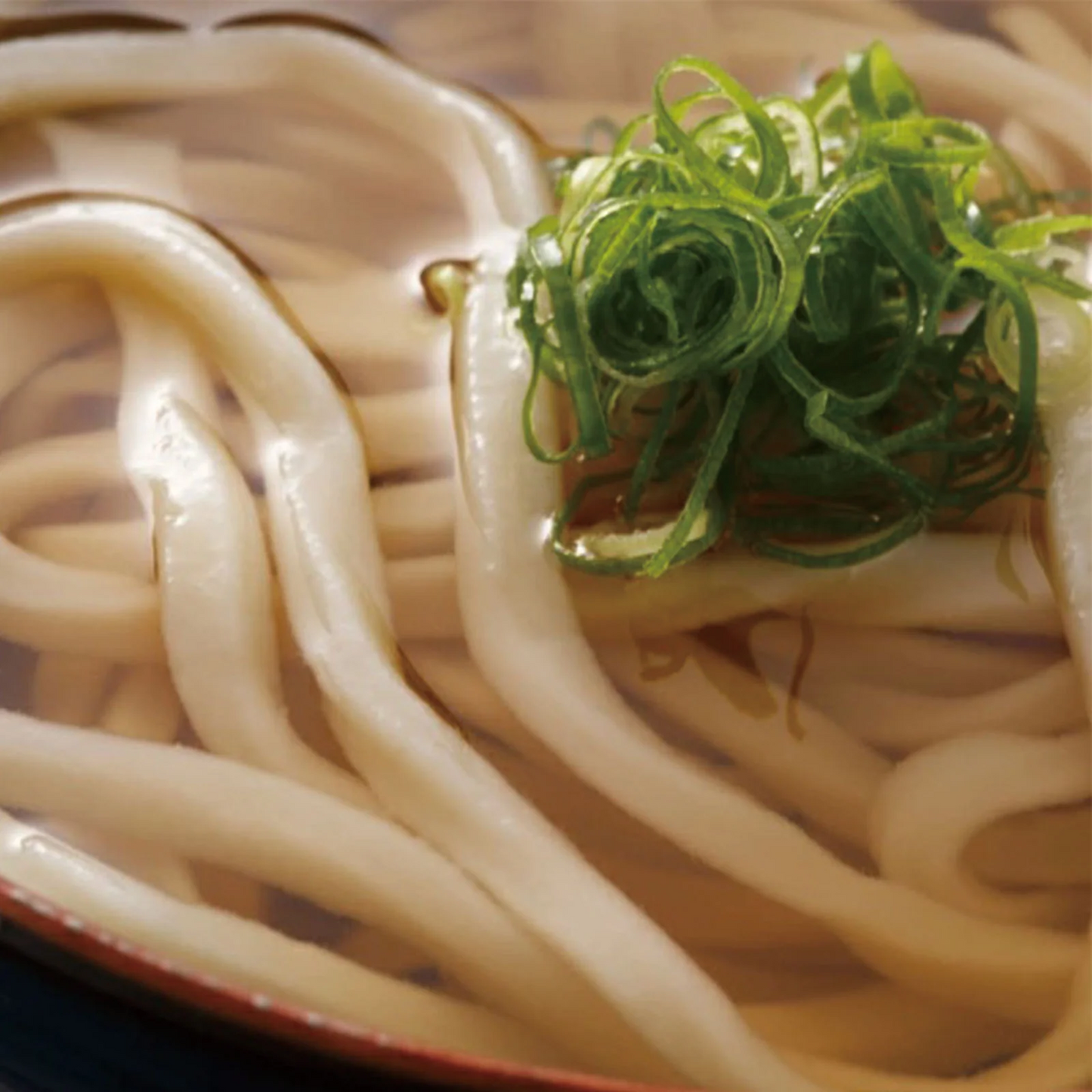 讃岐のかけうどん10食 讃岐うどん 送料無料 (北海道・沖縄+1500円) ご当地セット 産直 福袋 プレゼント ギフト ギフトセット お歳暮 御歳暮 歳暮