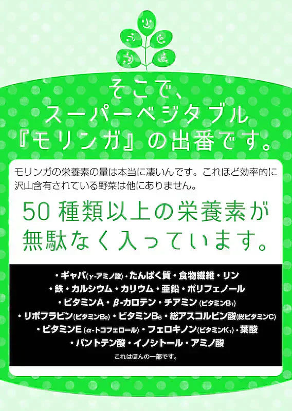 【大容量★約6ヶ月分】healthylife モリンガかぞく【乳酸菌 腸活乳酸菌 もち麦 腸活ダイエット 腸内細菌 腸内環境 腸内フローラ ポリフェノール 水溶性食物繊維 腸活ダイエット 野菜 スーパーベジタブル モリンガ末 乳酸菌 ラクトフェリン モリンガ おすすめ 人気 ランキング 効果 強力 最強 通販 日本製 国産 健康サプリ 健康食品