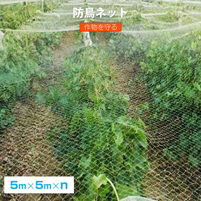 防鳥ネット 防鳥網 透明 幅5m 長さ5m 網目25mm 強力 ナイロン 鳥よけネット カラスよけ 害獣 防獣 田んぼ 畑 農園 果樹園 庭 ベランダ 果物 野菜 盗難被害防止