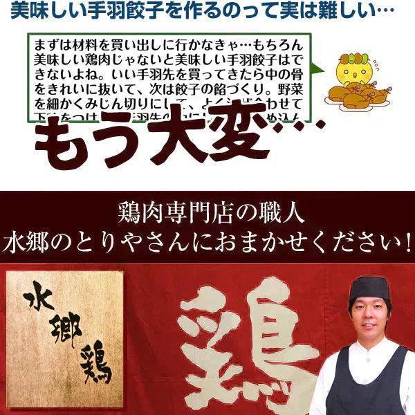 8秒に1本売れてる!手羽先餃子10本セット