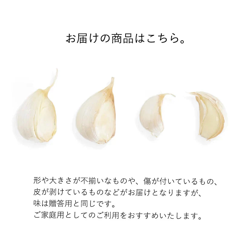 【 送料無料 】 青森県産 訳あり にんにく バラカケ 約500g 人気の福地ホワイト六片種 家庭用 青森産 ニンニク 福地ホワイト サイズ混合 メール便