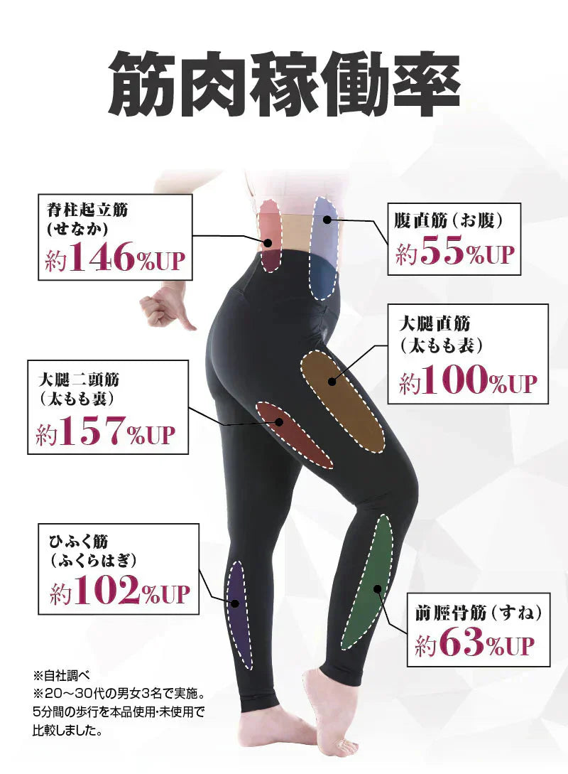 体幹筋エクササイズインソール ツインボール・Lサイズ(24.0-24.5cm) 【インソール靴 極薄素材 滑り止め ウォーキング バランス 筋力UP カロリー消費 O脚】ダイエット インソール 中敷き 体幹筋エクササイズインソール ツインボール ダイエットインソール 衝撃吸収 レディース ダイエットスニーカー ウォーキング 靴 アーチサポート 体幹筋 サポート 下半身 極薄 運動 美脚 ながら運動 靴 送料無料 ダイエット靴 シューズ O脚