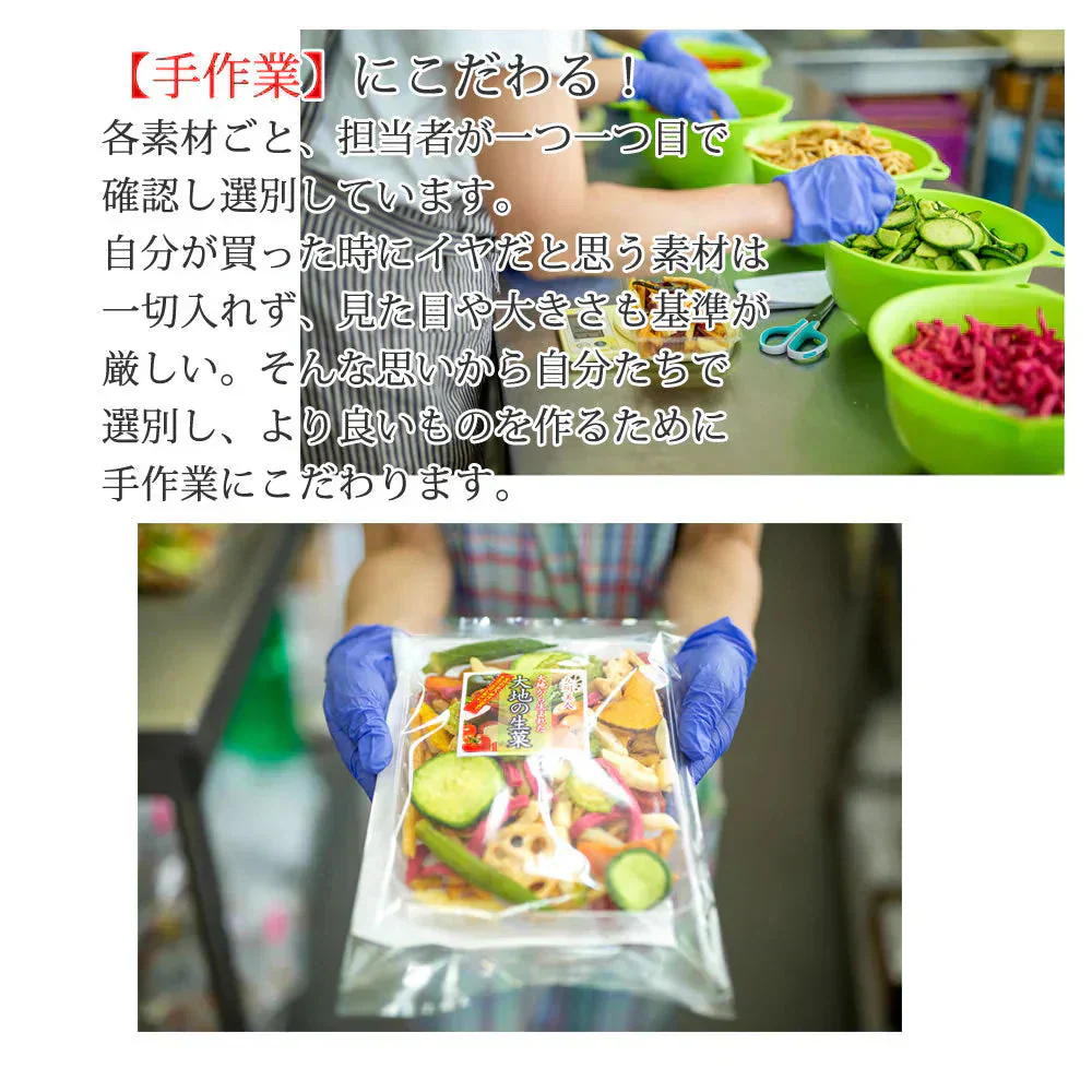 【500g】 15種類の野菜チップス