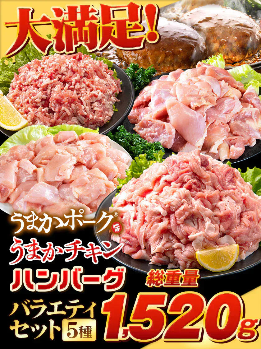 総重量1,520g! お肉5種 バラエティセット 肉 豚肉 鶏肉 ハンバーグ 5種 大容量 肉 福袋 切り落とし 豚ミンチ 国産 豚 ミンチ うまかチキン 若鶏 モモ肉 むね肉 デミグラス 7-14営業日以内に発送予定(土日祝除く)