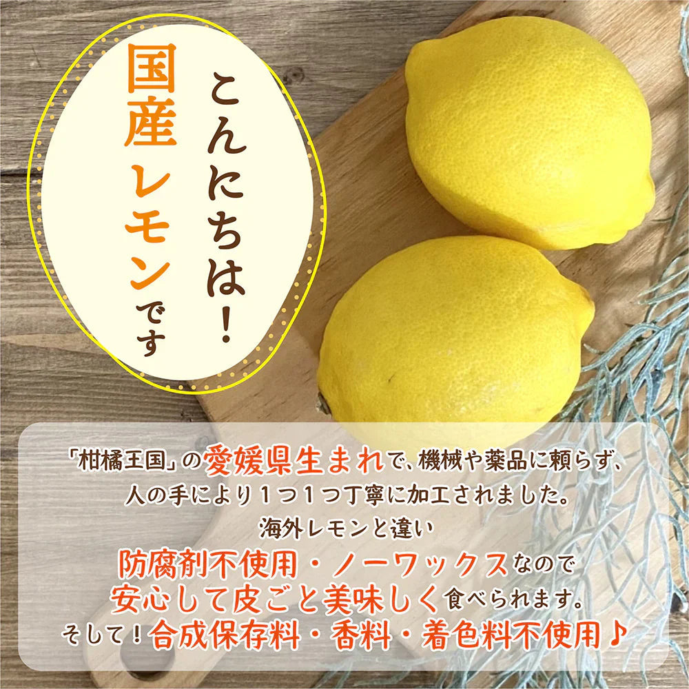 ドライフルーツ 愛媛県産 糖漬け レモン 輪切り 100g