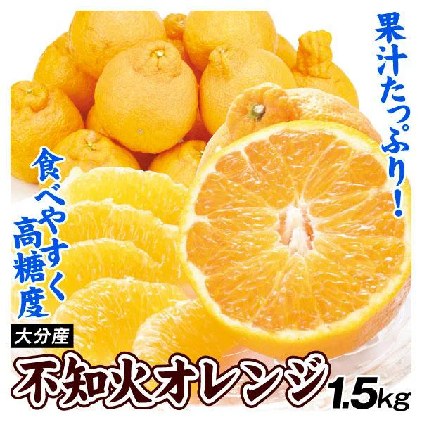 みかん 大分産 不知火オレンジ 1.5kg ご家庭用(発送予定:2025年2月下旬より)