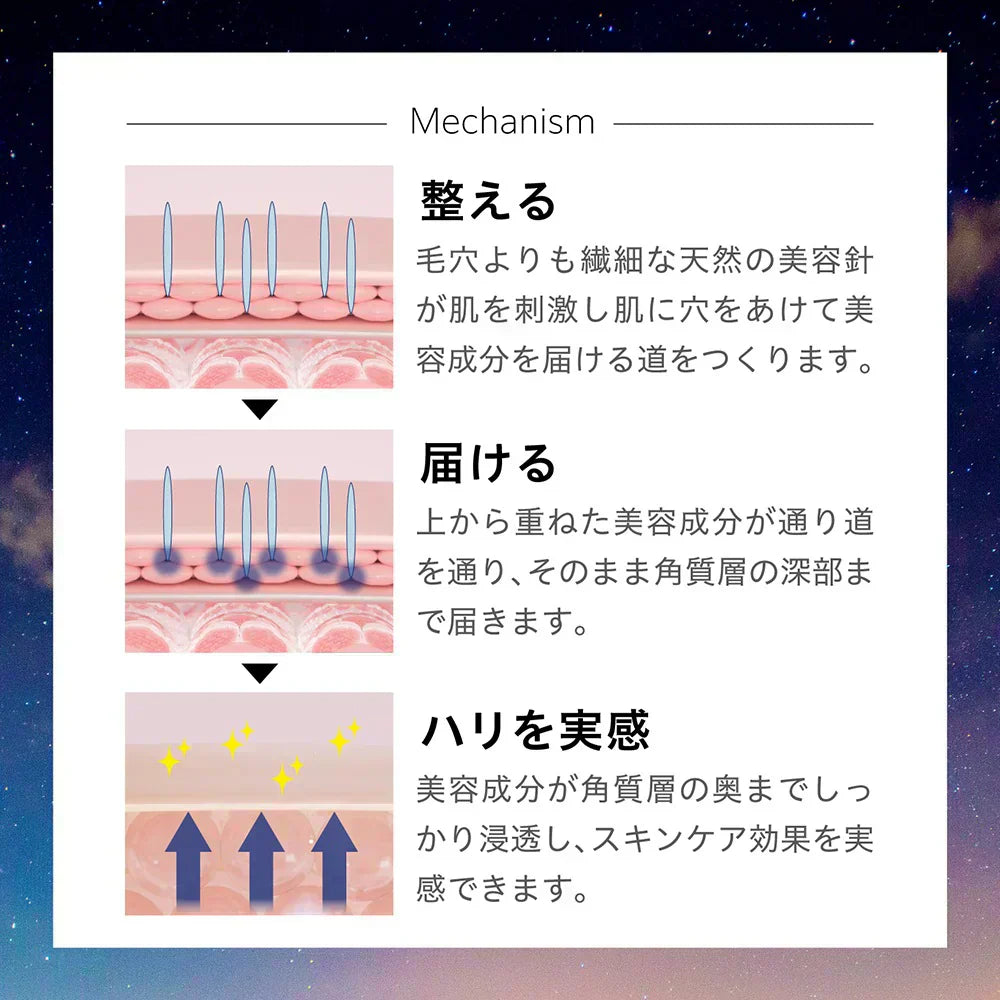 イヴリッチ ニードルセラム(30ml)針美容液 50万本 レチノール マイクロニードル ビタミンC レチノール ナイアシンアミド フラーレン グロースファクター アミノ酸 浸透 土台美容液 先行美容液