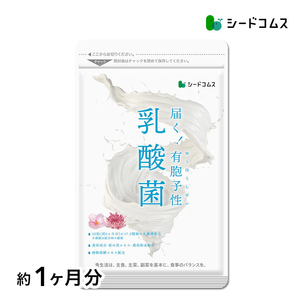 乳酸菌《約1ヶ月分》有胞子性乳酸菌ソフトカプセル/ 乳酸菌 高配合 サプリ 桜の花エキス