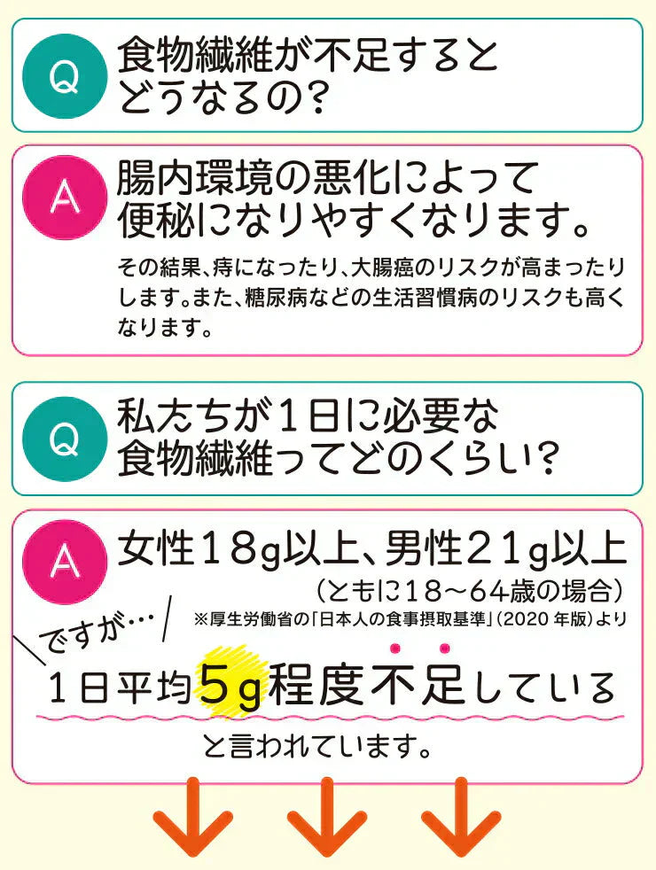 500g 水溶性食物繊維+生きてる乳酸菌パウダー