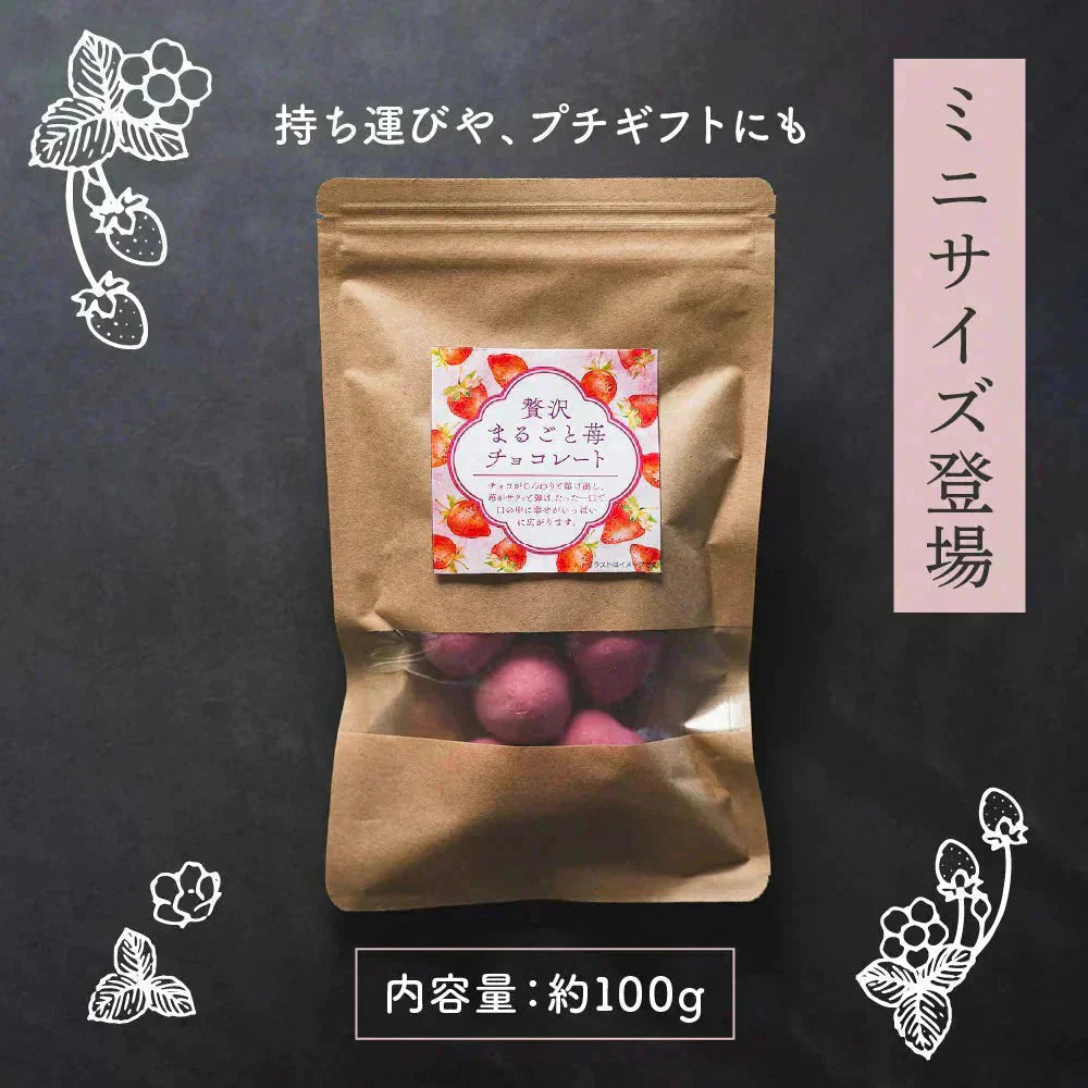 【予約注文11月05日以降順次発送】贅沢まるごと苺チョコレート 100g チョコレート スイーツ いちごまるごと ホワイトチョコ イチゴ いちご ストロベリーチョコ いちごトリュフ フリーズドライ チョコ 友チョコ 自分チョコ【ご新規さん限定商品】