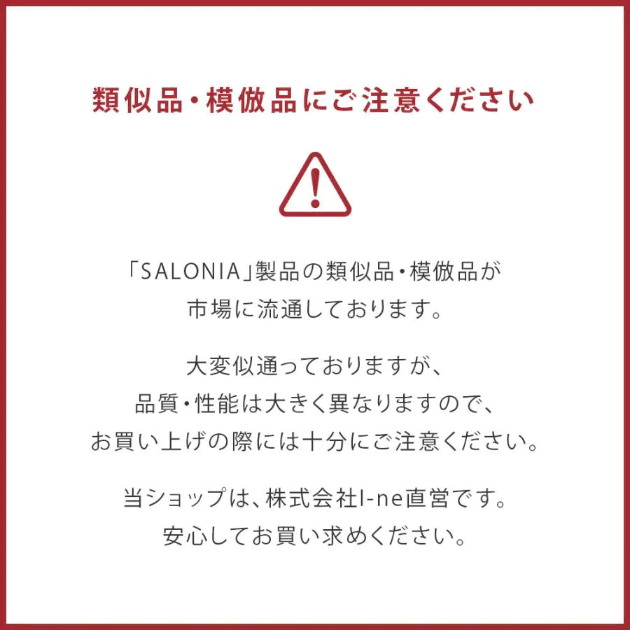 SALONIA スピーディーイオンドライヤー ホワイト
