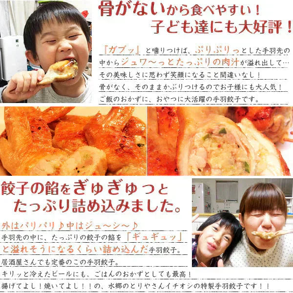 8秒に1本売れてる!手羽先餃子20本セット