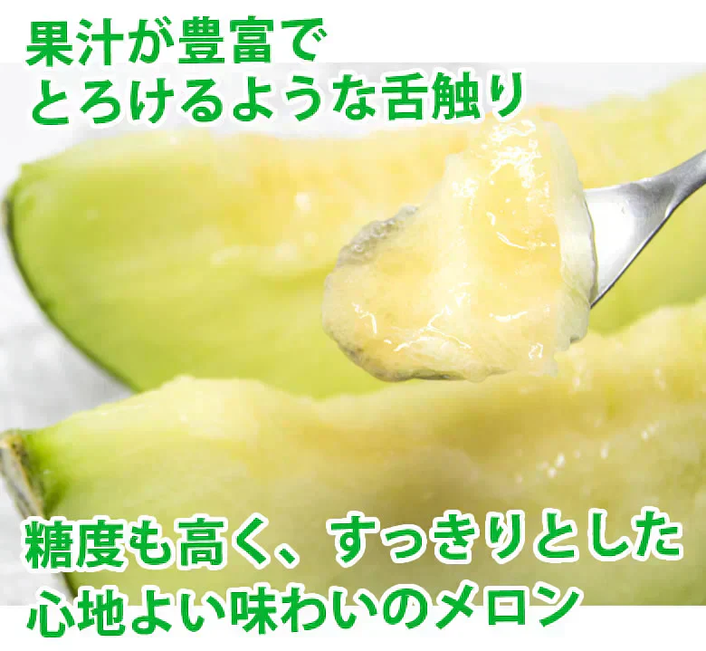 メロン 肥後グリーンメロン 送料無料 1玉 M~3L 熊本県産 肥後グリーン