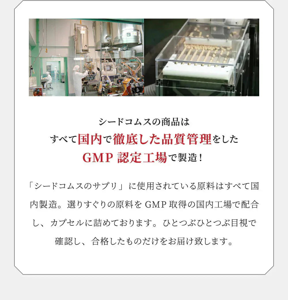 コンブチャ《約12ヶ月分》ダイエット サプリ サプリメント 美容 健康 酵素 乳酸菌  紅茶キノコ 酵母 ビタミンD 葉酸 ビタミンC ビタミンB 大豆ペプチド【大容量】