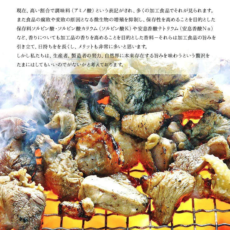 【たれ味×6パック】鶏の炭火焼きたれ味(炭火焼/鳥の炭火焼き/焼鳥/炭火焼鳥/焼肉)100g×6
