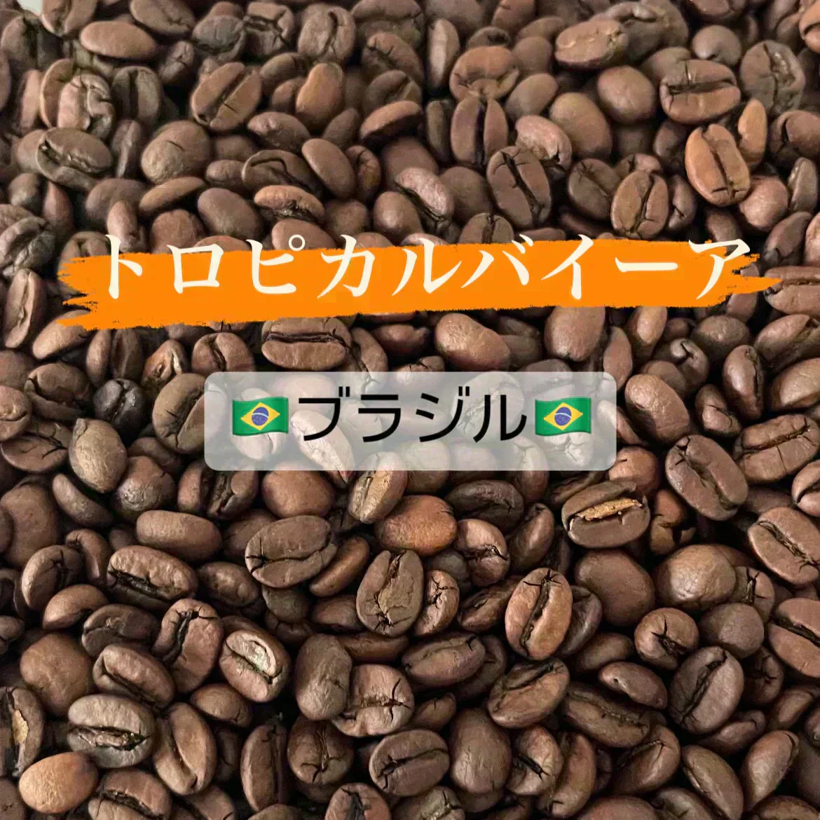【お試し】「トロピカルバイーア(🇧🇷ブラジル ナチュラル精製)」 30g 珈琲豆 送料無料【カウシェファーム収穫対象商品】