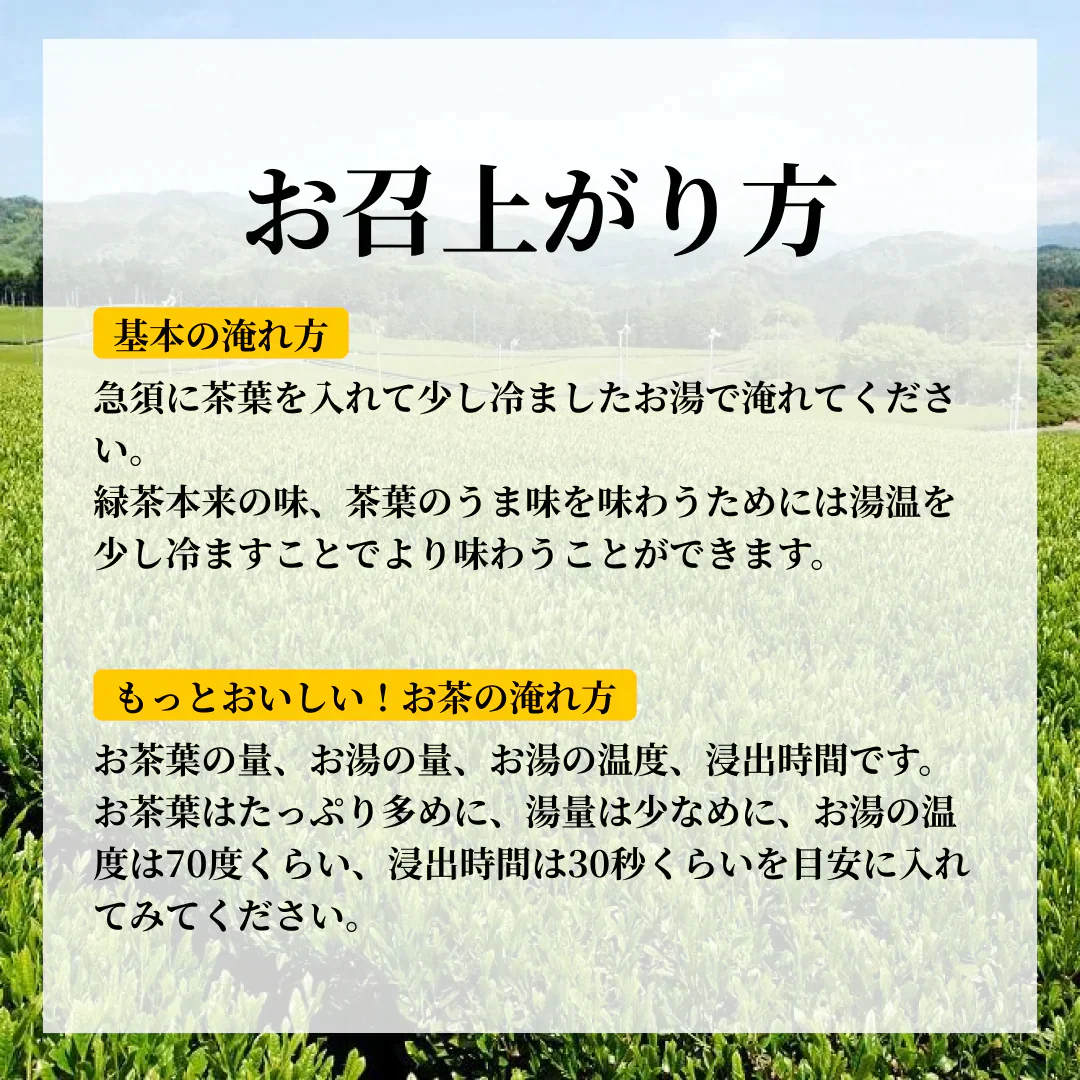 訳あり静岡茶100g×6 茎入茶葉 お茶 お茶の葉 日本茶 緑茶 一番茶 カテキン緑茶 深蒸し茶 お徳用 業務用【エコ得】
