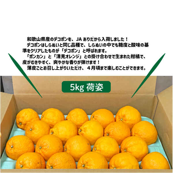 和歌山県産 デコポン 約10kg 和歌山 でこぽん 凸ポン しらぬい 不知火 ギフト 自宅用 贈答 柑橘 ありだ