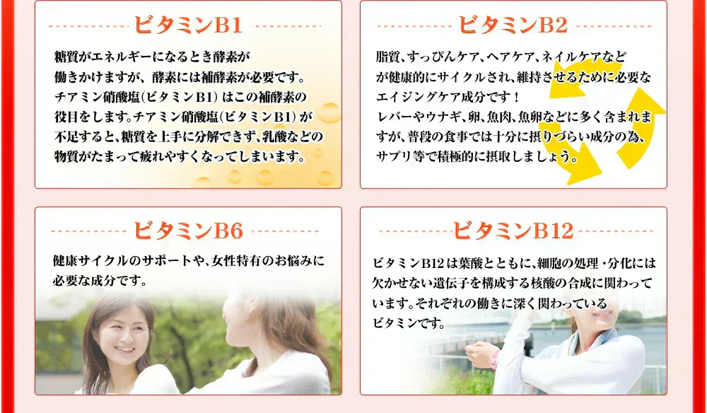 アスタキサンチン《約3ヶ月分》1年後、5年後、10年後、キレイに年齢を重ねたいアナタへアスタキサンチン 11種類のビタミン配合