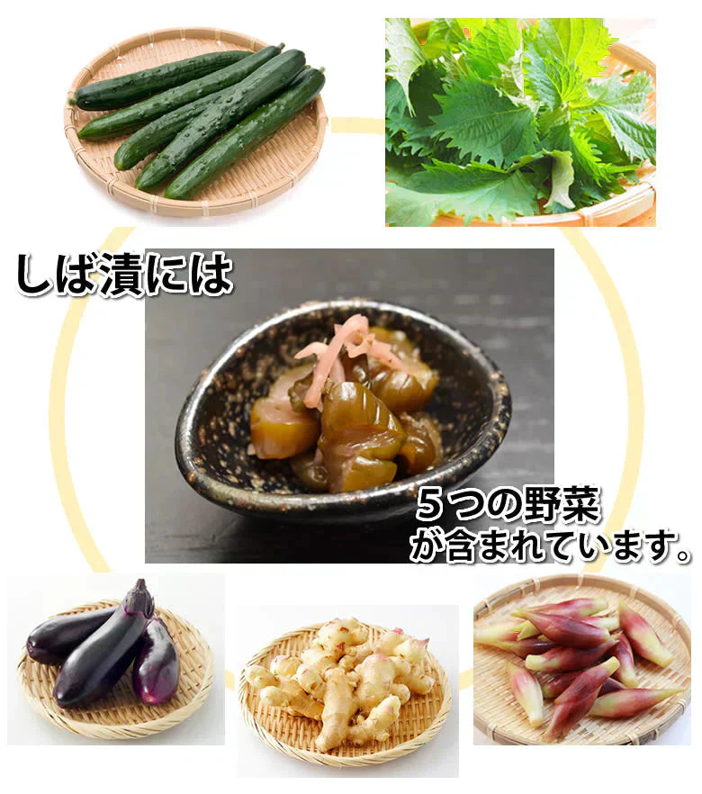 しば漬 漬物 きざみきゅうり漬け 600g(150g×4袋) 送料無料 ポッキリ 宮崎県産 お取り寄せ お取り寄せグルメ きゅうり しそ しょうが なす みょうが つけもの