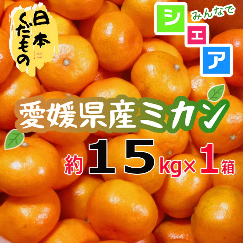 愛媛県産 みかん 15kg×1箱 SMサイズ中心 訳あり家庭用 柑橘
