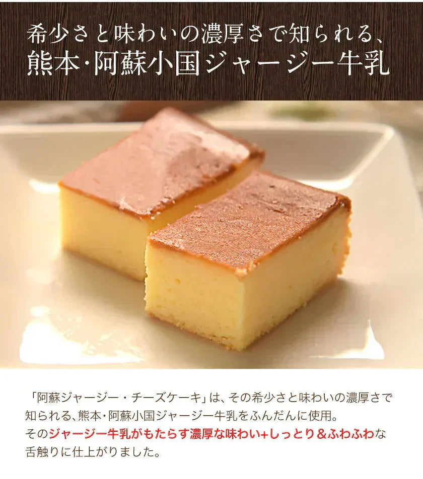 阿蘇 ジャージー チーズケーキ 希少 な ジャージー牛乳使用 スイーツ 1-5営業日以内に発送予定(土日祝除く)