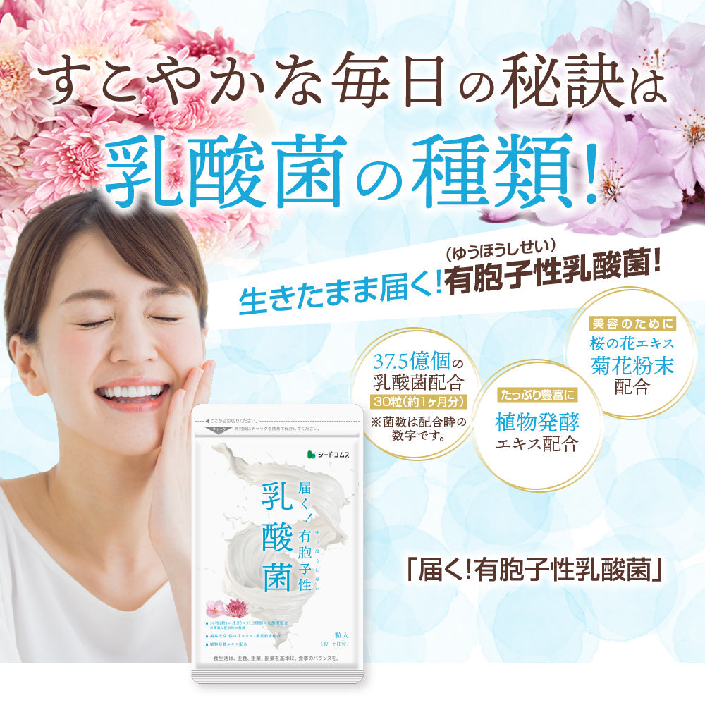 乳酸菌《約1ヶ月分》有胞子性乳酸菌ソフトカプセル/ 乳酸菌 高配合 サプリ 桜の花エキス