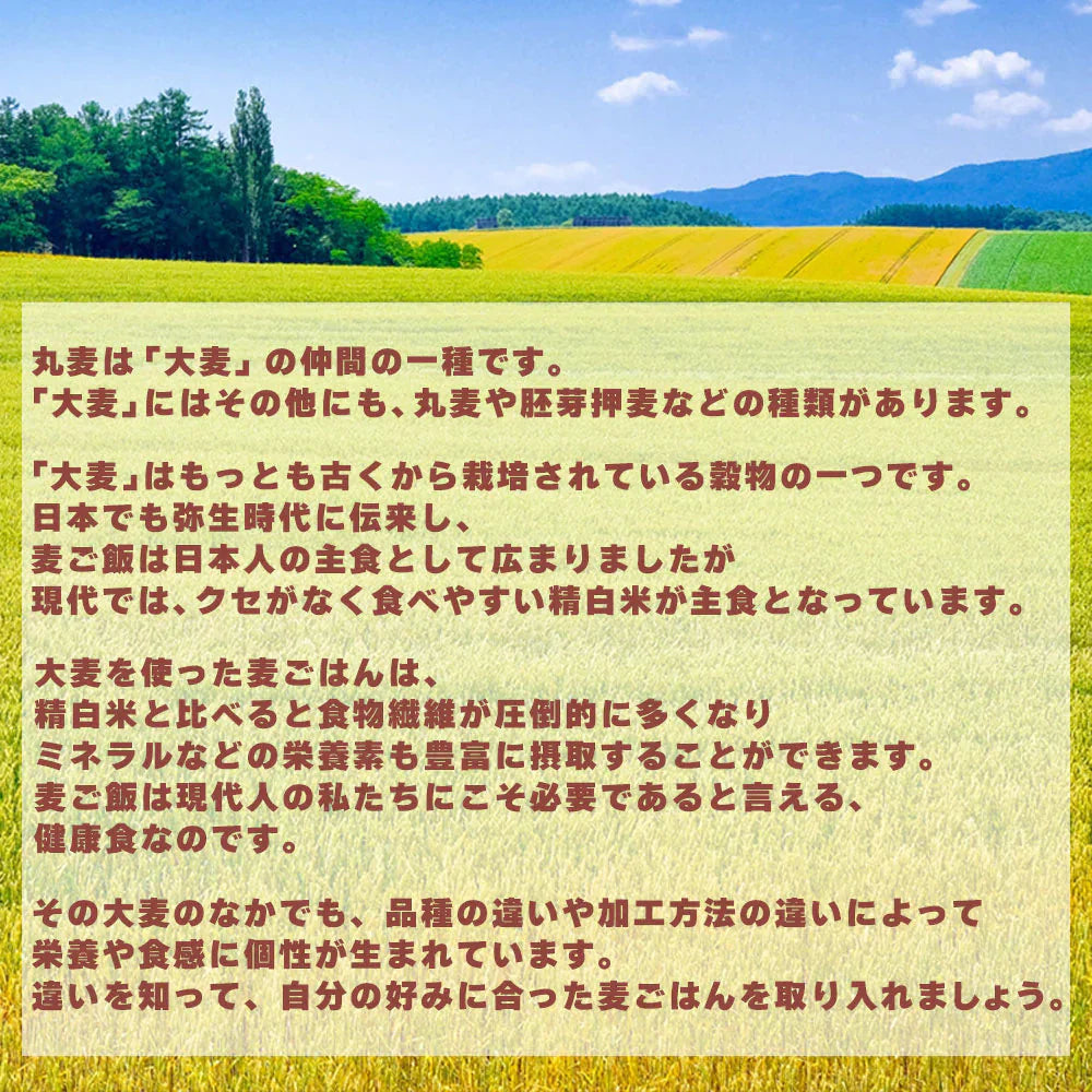 雑穀 雑穀米 国産 丸麦 800g(400g×2袋) 定番サイズ 無添加 無着色 送料無料