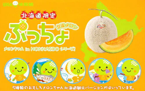 北海道限定 ぷっちょ 夕張メロン 送料無料