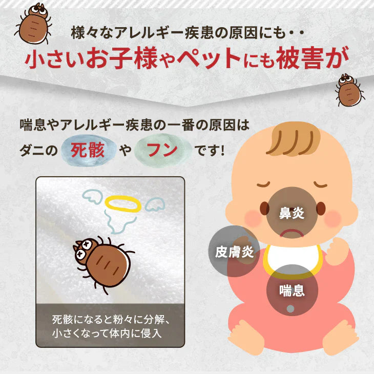 ダニ捕りパック【ブラックホール®】 2個入