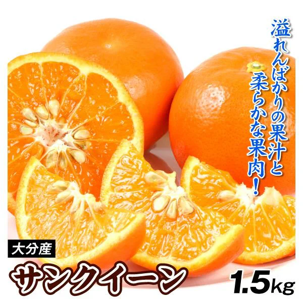 みかん 大分産 サンクイーン 1.5kg ご家庭用(発送予定:2025年3月中旬より)