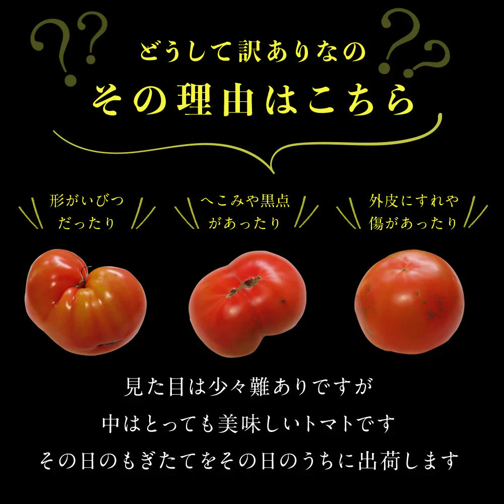 予約2026年1月下旬から順次発送【特別栽培農産物】\訳あり/ソムリエ トマト 4~5kg(18玉~36玉)ダイヤのオマケ付き