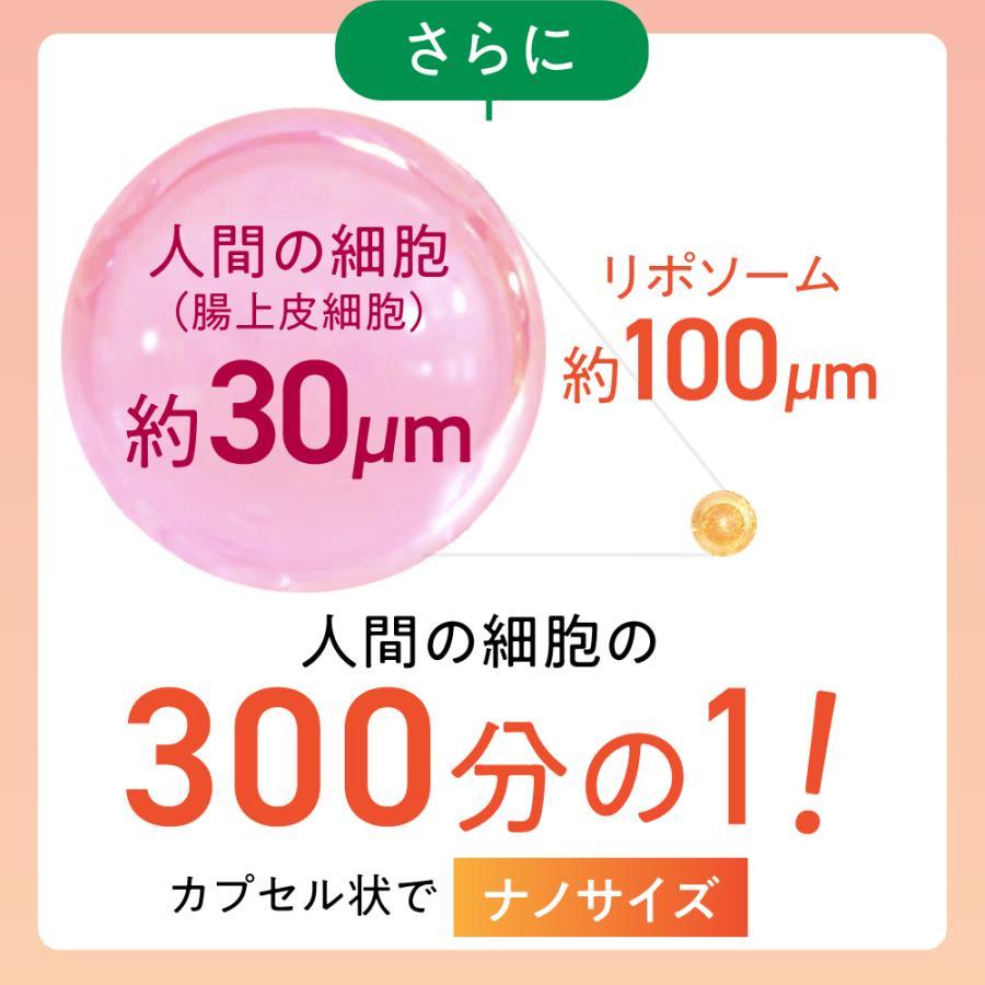 国内製造 苦味無し リポソーム ビタミンC マイシー リポスフェリック リポソームビタミンC サプリ リポソームビタミンCサプリ リポc ビタミンc サプリメント 1000mg