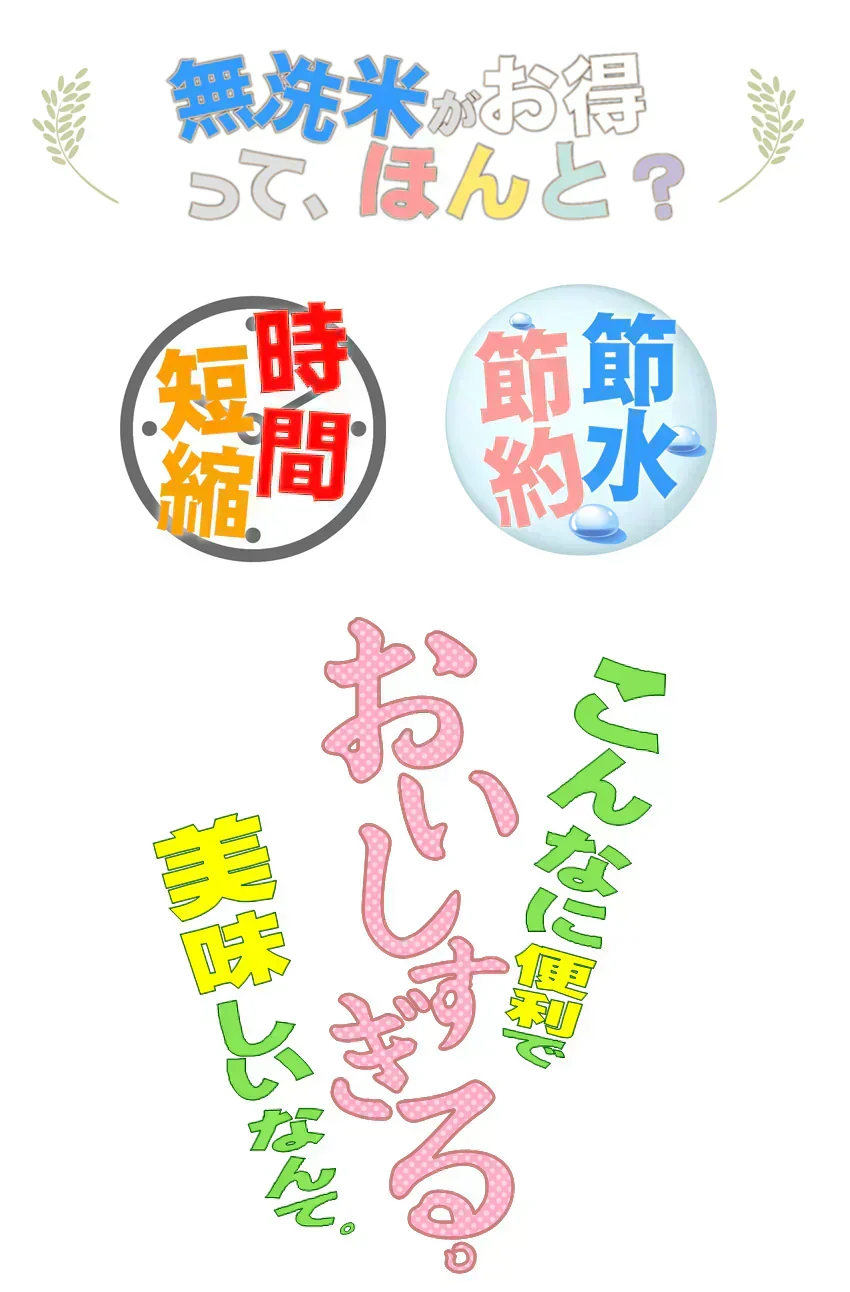 【令和7年産】あきたこまち 無洗米 5kg×1 秋田小町 研がなくていい無洗米 送料無料 千葉県産