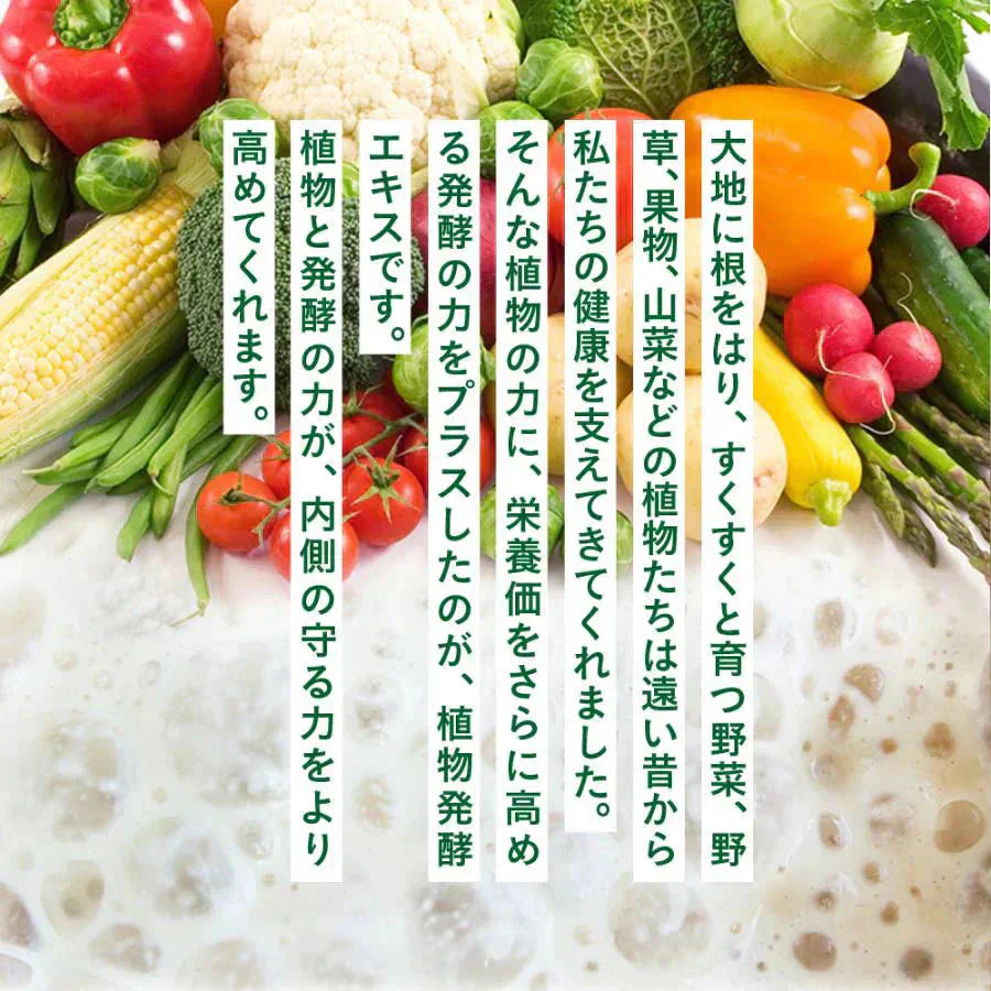 まいにち酵素《約3ヶ月分》野草 果実 海藻 キノコ 豆類を使用 送料無料 酵素サプリ