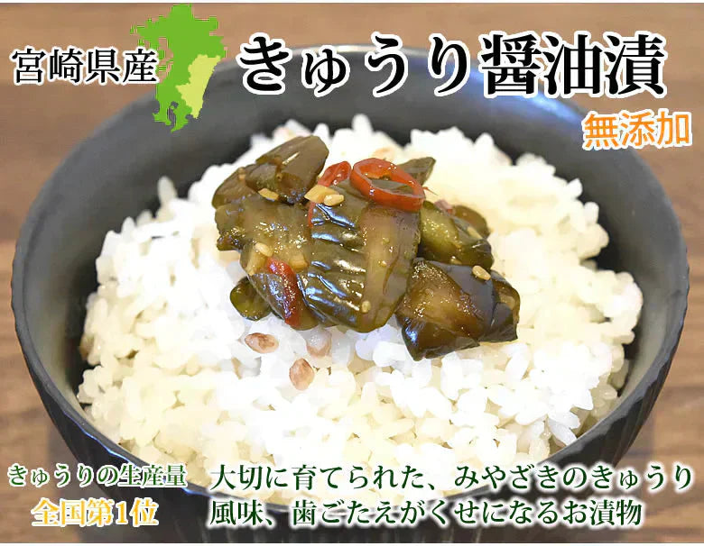 漬物 きゅうり醤油漬 無添加 400g(100g×4袋) 送料無料 九州醤油仕立て ポッキリ お試し 宮崎県産 お取り寄せ きゅうり つけもの【プチプラ特集】