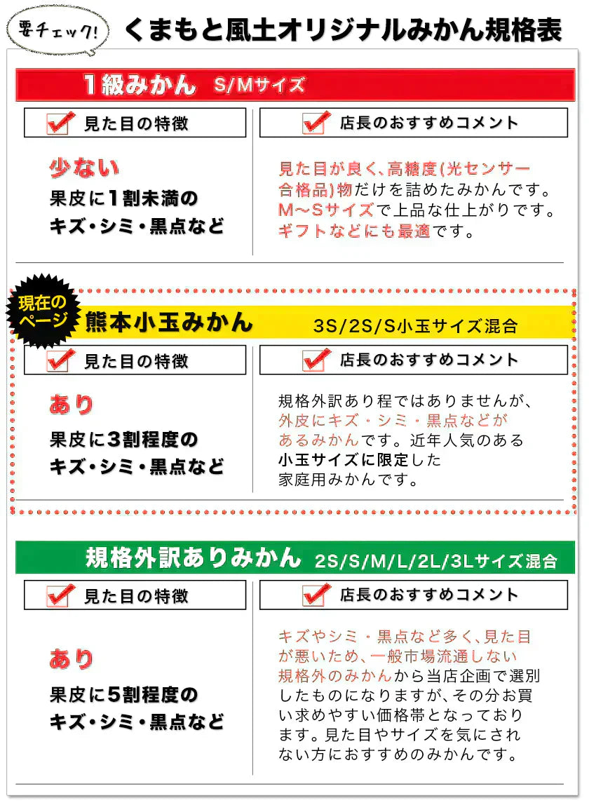 小玉 みかん 送料無料 訳あり みかん 小粒 1.5kg 家庭用 箱買い 果物 小粒 熊本 極早生 柑橘 九州 訳アリ だけど 小玉 で 甘い 蜜柑 わけあり 《9月中旬-9月末頃より発送予定》