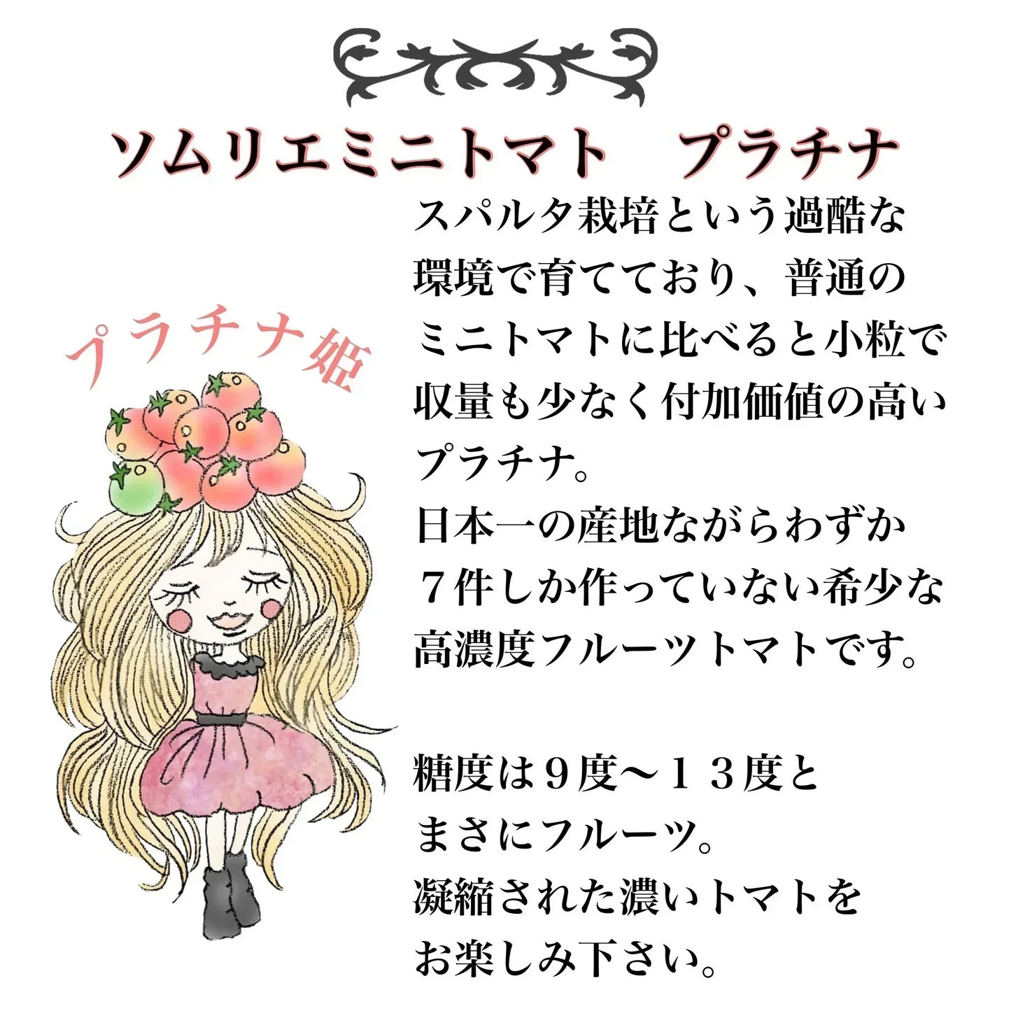 予約【1月前後から発送開始】お試し\特別栽培農産物/ソムリエミニトマト プラチナ 390g