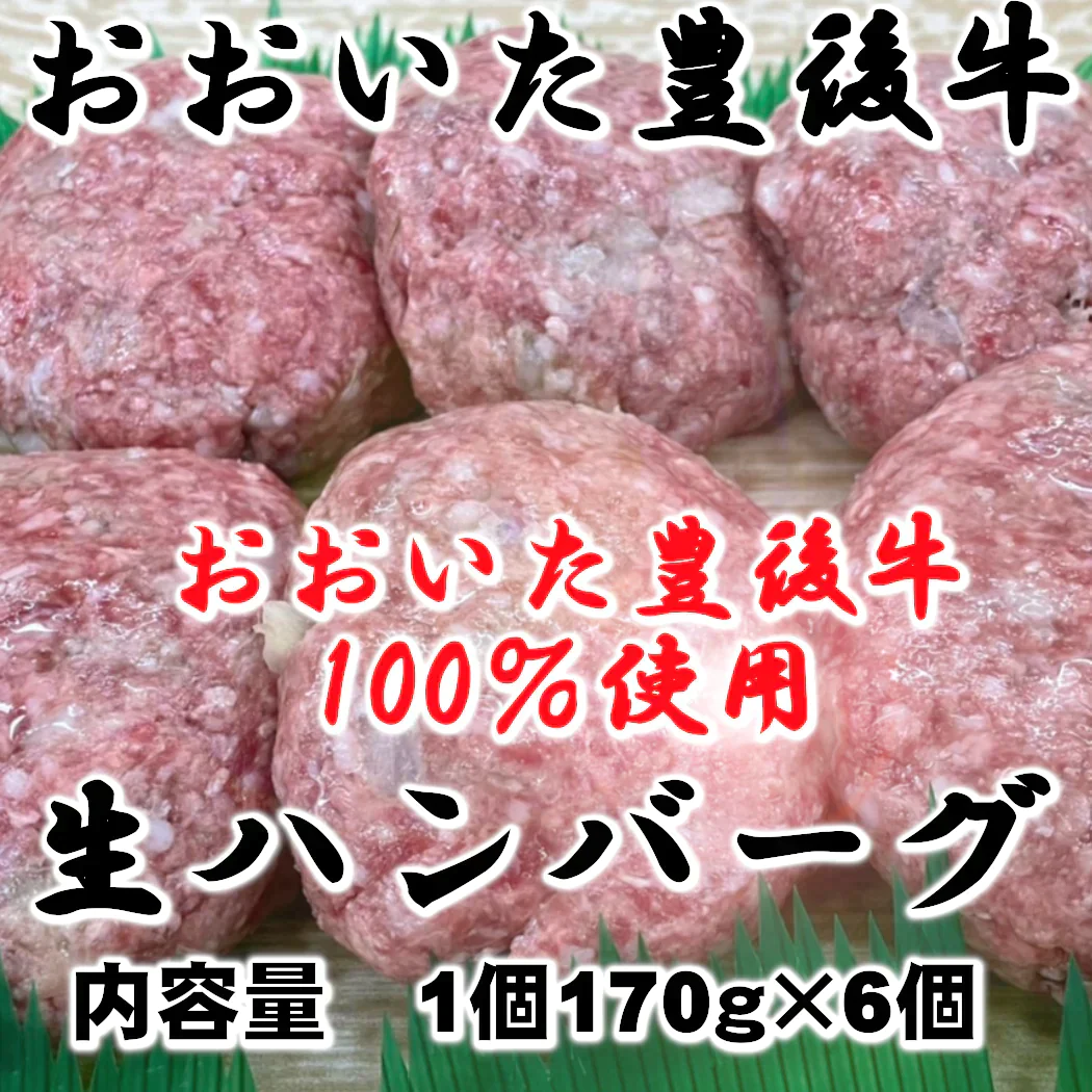 【おおいた豊後牛】 生ハンバーグ 1個170g×6個(計1020g)