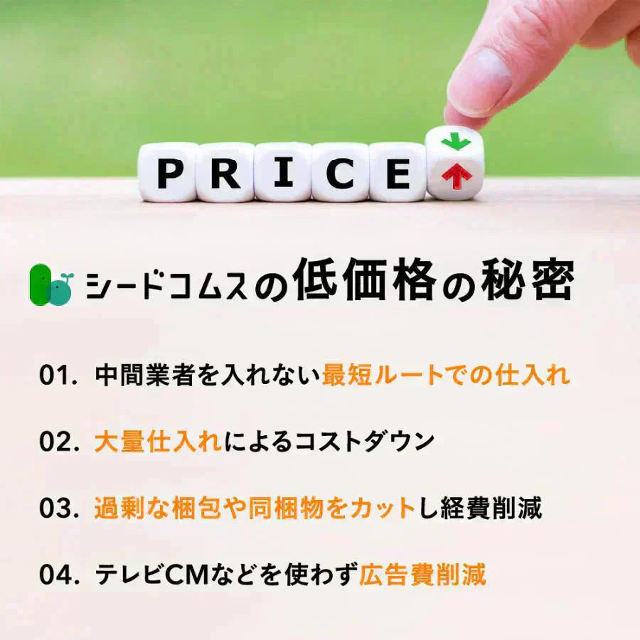 リポソーム型ビタミンC《約1ヶ月分》LiposomeC 1000 リポソーム ビタミンC 1袋あたり30,000mg サプリメント