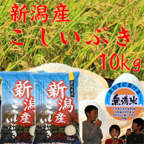 米10kg 無洗米 送料無料 新潟産 こしいぶき 米 10kg 無洗米 5kg×2袋 米10kg 農家直送 米10キロ